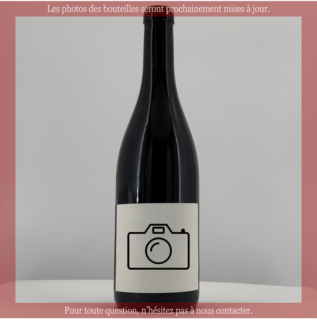 Vosne Romanée 2023