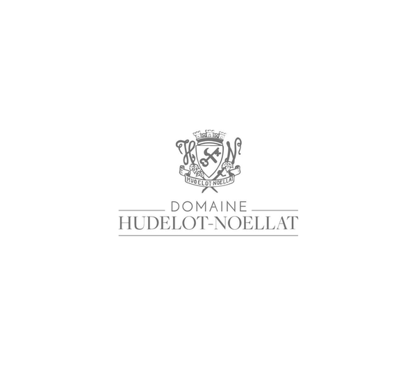 DOMIANE HUDELOT-NOELLAT