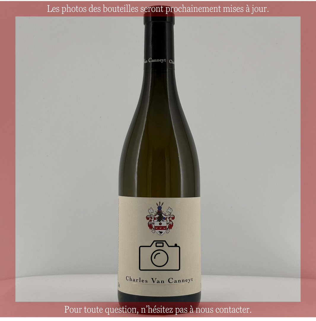 Nuits Saint Georges  2022
