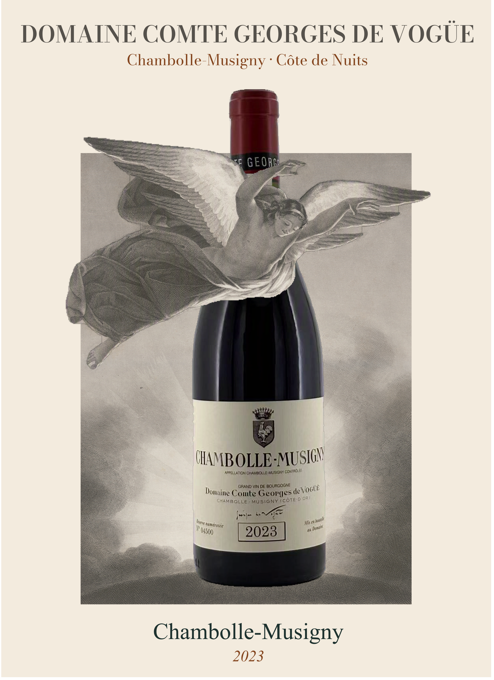Chambolle Musigny 2023
